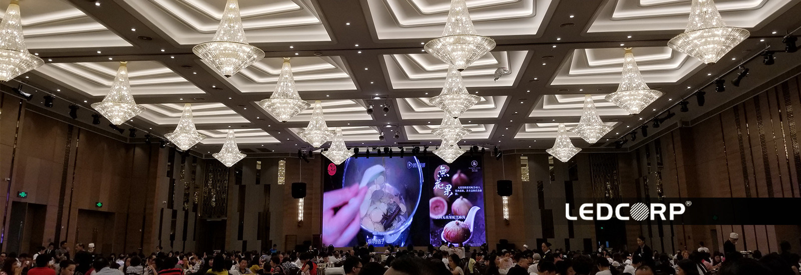 qualité L'éclairage à LED néon flex / top bend (pro/CCT/RGB/digital/DMX/3D) Fabrique