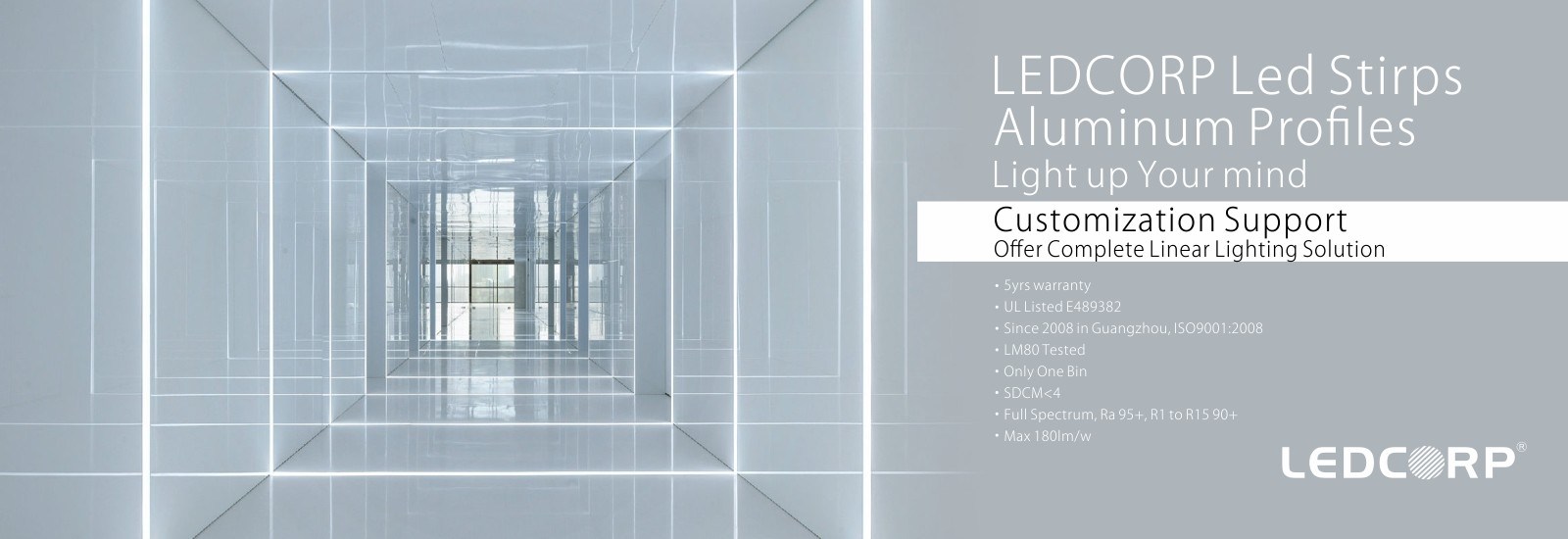 qualité L'éclairage à LED néon flex / top bend (pro/CCT/RGB/digital/DMX/3D) Fabrique