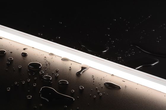 LEDCORP® DMX Controlled LED Neon Flex / Side Bend 360° for Outdoor and Decorative Lighting