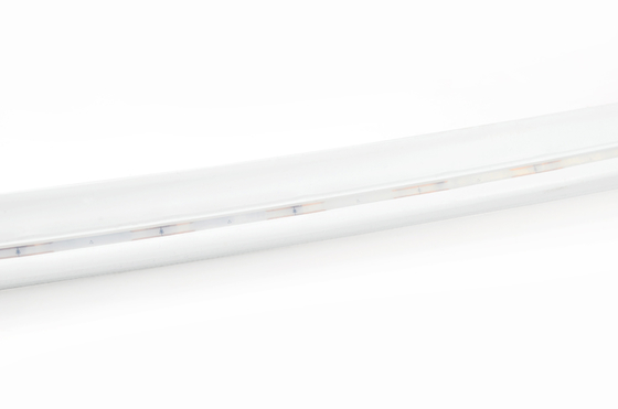 LEDCORP® Neon Flex Side Bend Pro/CCT/RGB/Digital/DMX/360° with Simple and Stylish Appearance