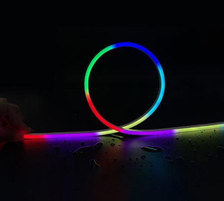 LEDCORP® RGB LED Neon Flex SPI Pixcel Control Add Color and Style to Your Space Pro/CCT/RGB/Digital/DMX/3D