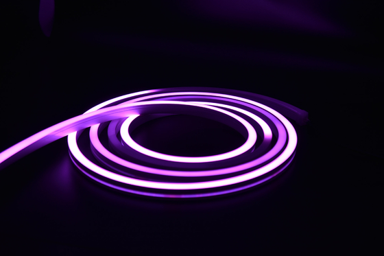 LEDCORP® RGB Neon Flex DMX512 Digital Pixel Control The Ultimate Choice for Any Project