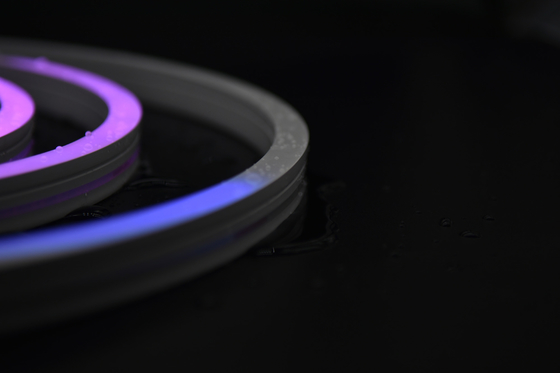 LEDCORP® RGB Neon Flex DMX512 Digital Pixel Control The Ultimate Choice for Any Project