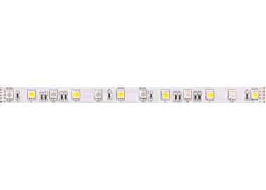 5050 Waterproof RGB LED Strips 60 LEDs / m RGBW 24 Volt LED Strip Lights